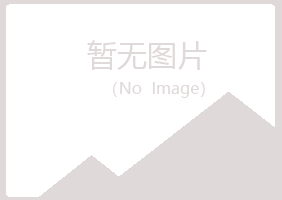 平昌县莫爱金融有限公司